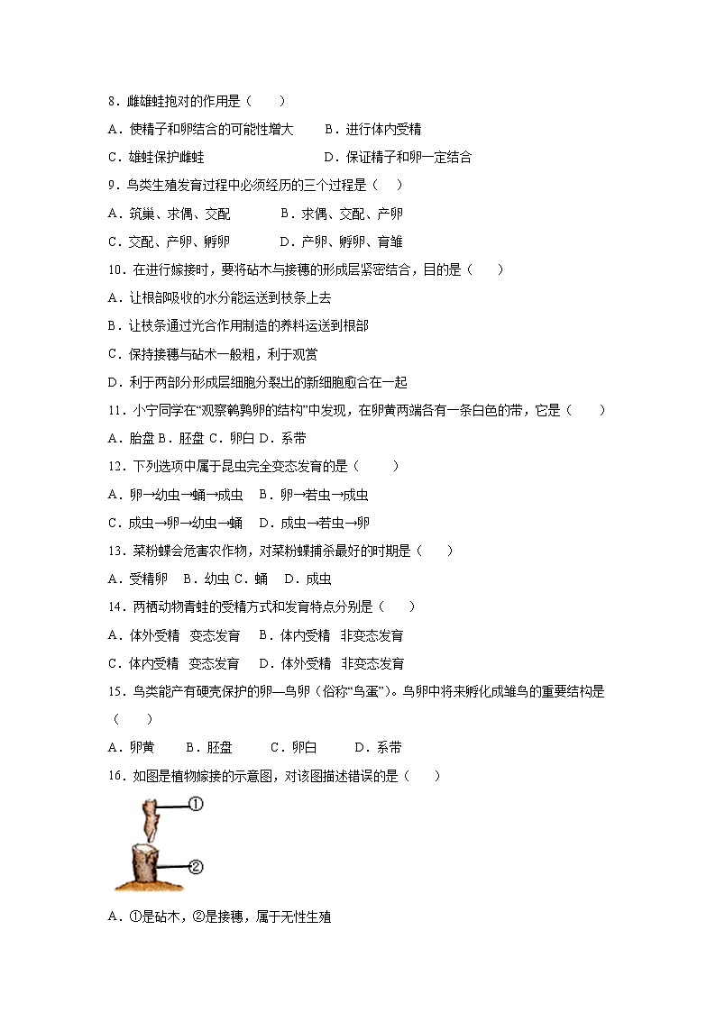 第一章 生物的生殖和发育   同步练习题第2页