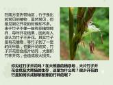 人教版生物八下 7.1.1植物的生殖 【课件】
