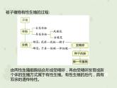 7.1.1植物的生殖（教学课件）-2022-2023学年初中生物人教版八年级下册