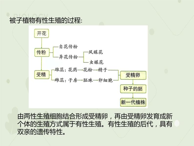 7.1.1植物的生殖（教学课件）-2022-2023学年初中生物人教版八年级下册04