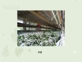人教版生物八下 7.1.2昆虫的生殖和发育 【课件】