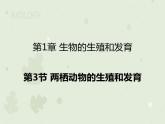 人教版生物八下 7.1.3两栖动物的生殖和发育 【课件】