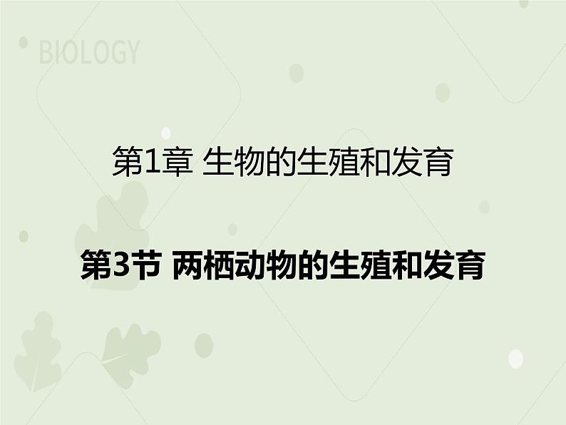 7.1.3两栖动物的生殖和发育（教学课件）--2022-2023学年初中生物人教版八年级下册第1页