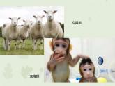 人教版生物八下 7.2.1基因控制生物的性状 【课件】