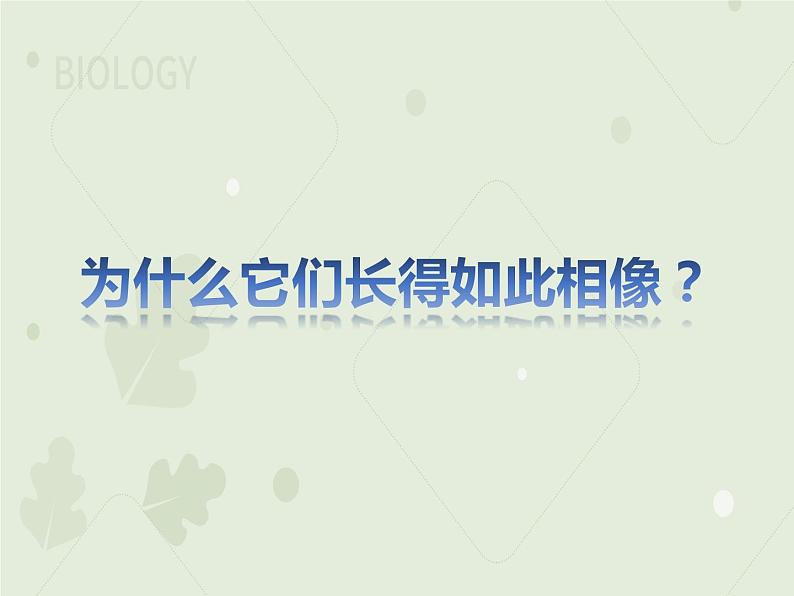 7.2.1基因控制生物的性状（教学课件）--2022-2023学年初中生物人教版八年级下册第4页