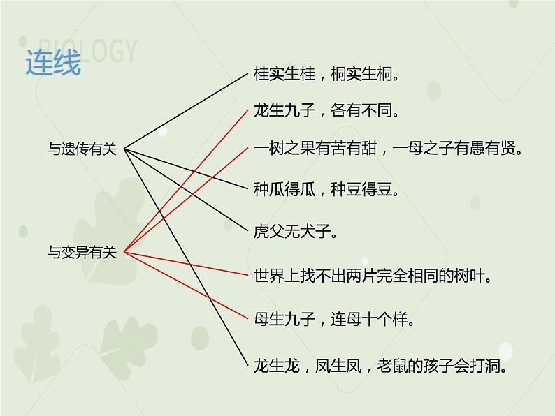 7.2.1基因控制生物的性状（教学课件）--2022-2023学年初中生物人教版八年级下册第8页