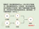 7.2.3基因的显性和隐性（教学课件）--2022-2023学年初中生物人教版八年级下册