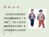 人教版生物八下 7.2.4人的性别遗传 【课件】