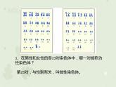 人教版生物八下 7.2.4人的性别遗传 【课件】