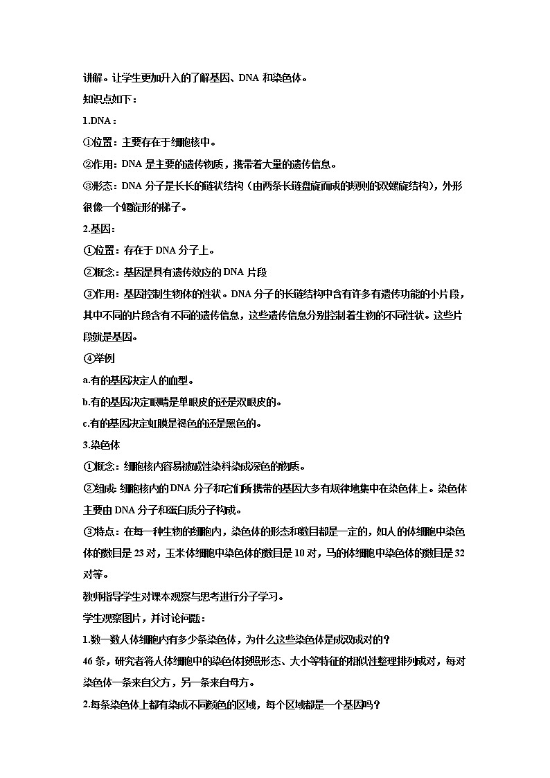 人教版生物八下 7.2.2基因在亲子代间的传递 【教案】02