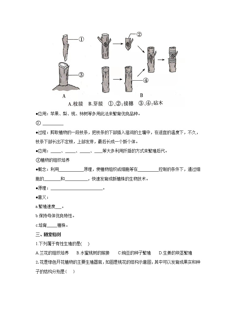 人教版生物八下 7.1.1植物的生殖 【学案】03