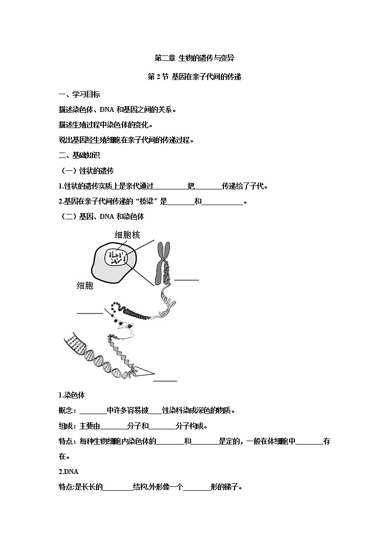 人教版生物八下 7.2.2基因在亲子代间的传递 【学案】01