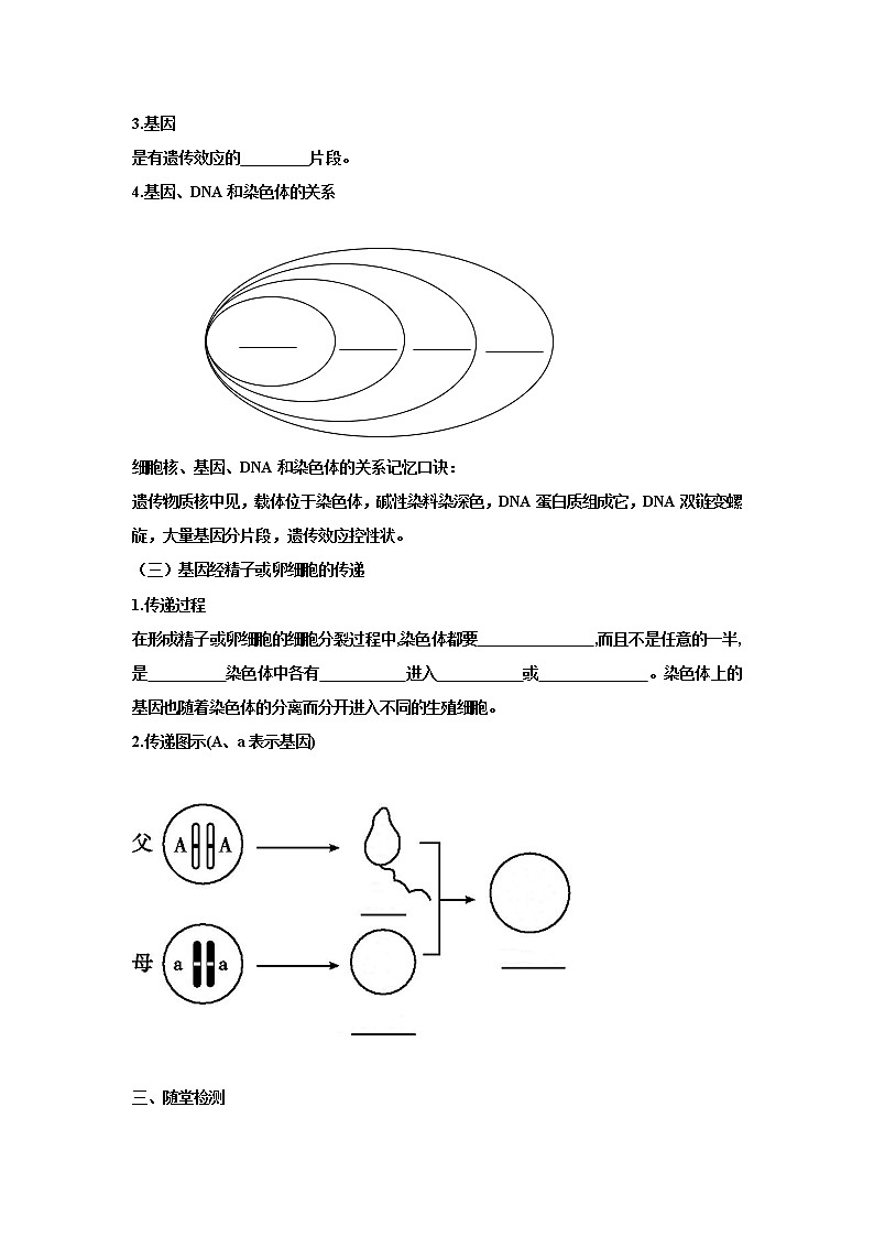 人教版生物八下 7.2.2基因在亲子代间的传递 【学案】02