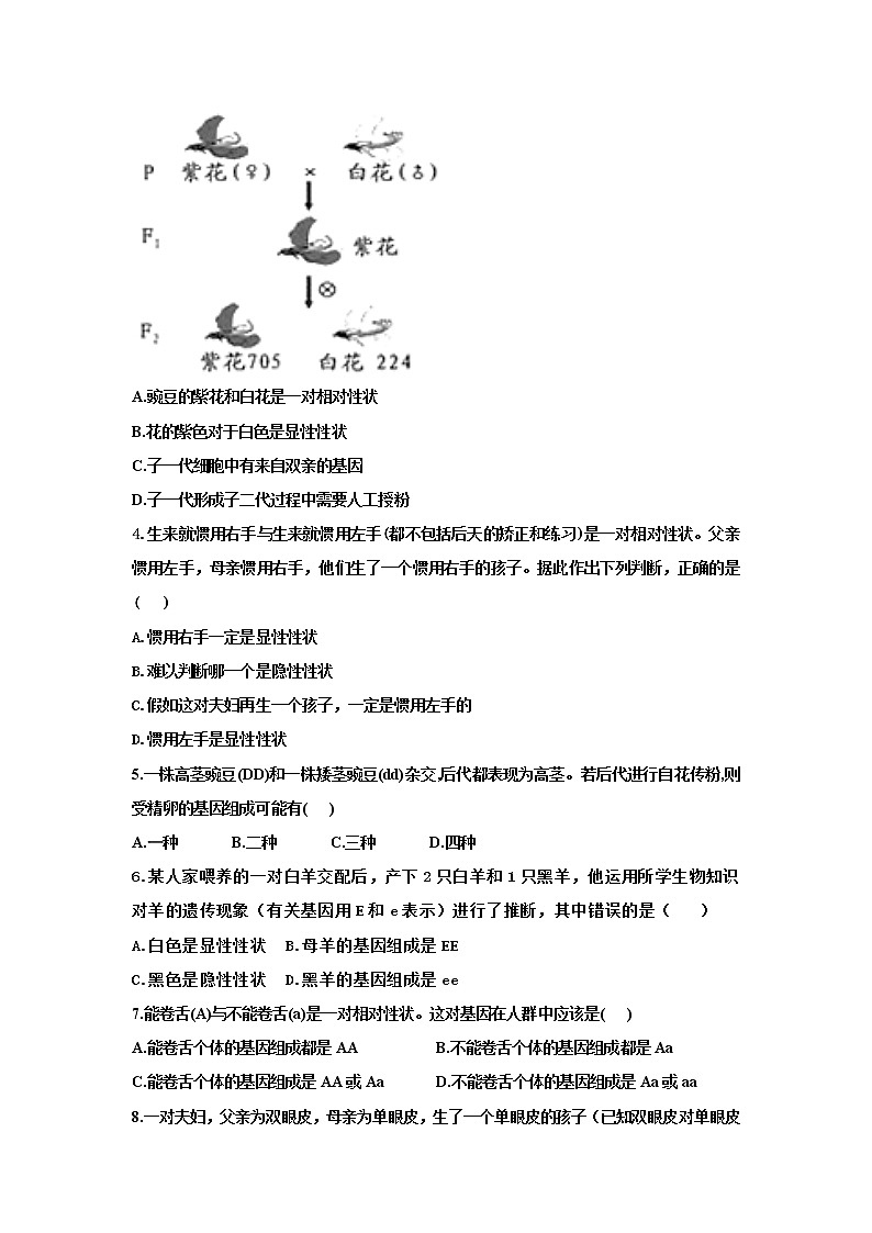 人教版生物八下 7.2.3基因的显性和隐性 【学案】03
