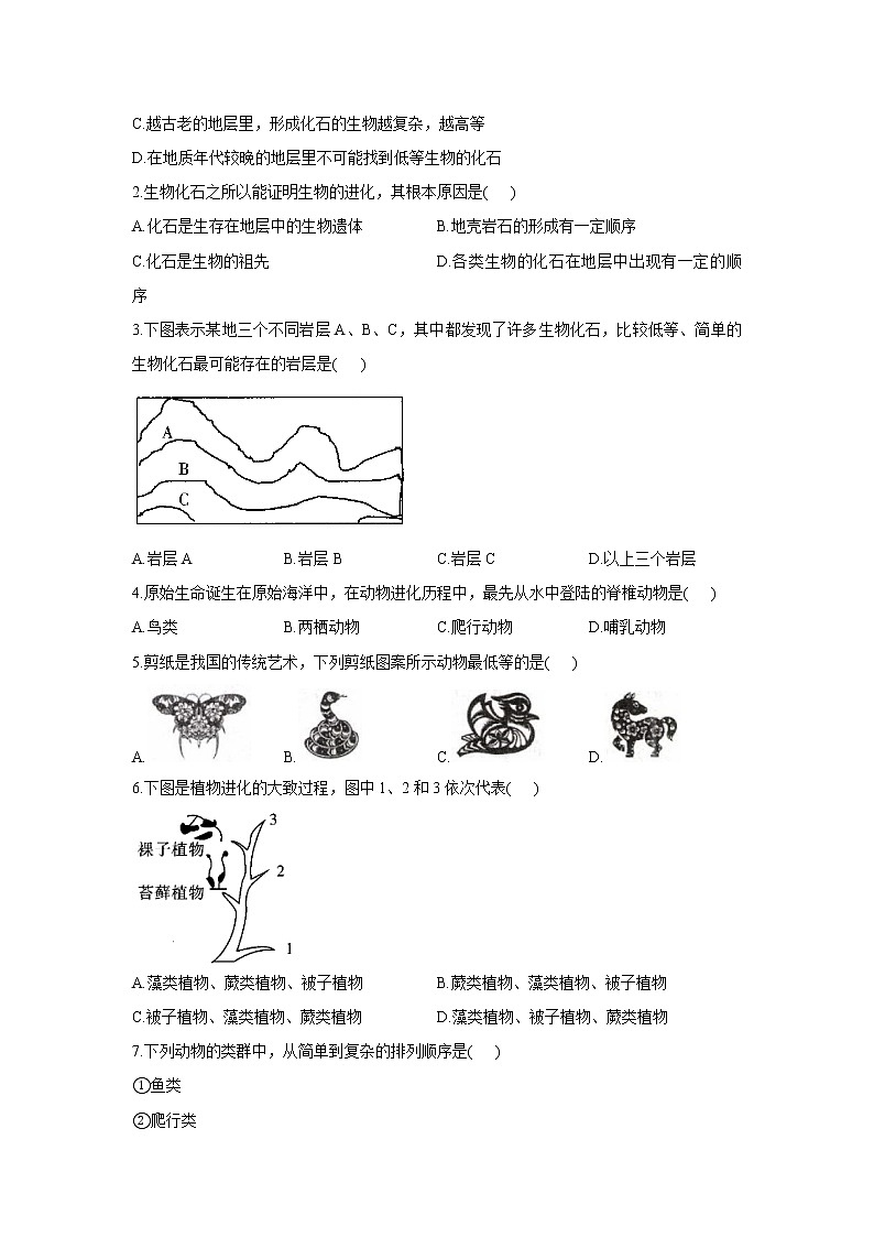 人教版生物八下 7.3.2生物进化的历程 【学案】02