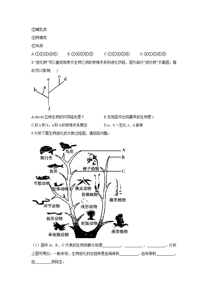人教版生物八下 7.3.2生物进化的历程 【学案】03
