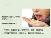 人教版生物八下 8.2用药与急救 【课件】