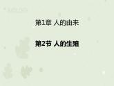 4.1.2人的生殖（教学课件）-2022-2023学年初中生物人教版七年级下册