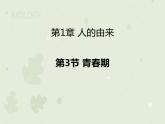 4.1.3青春期（同步课件）-2022-2023学年初中生物人教版七年级下册