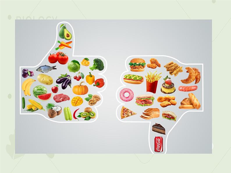 4.2.3合理营养与食品安全（教学课件）-2022-2023学年初中生物人教版七年级下册03