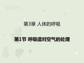 4.3.1呼吸道对空气的处理（教学课件）-2022-2023学年初中生物人教版七年级下册