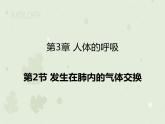 4.3.2发生在肺内的气体交换（教学课件）-2022-2023学年初中生物人教版七年级下册