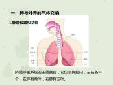 4.3.2发生在肺内的气体交换（教学课件）-2022-2023学年初中生物人教版七年级下册