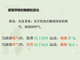 4.3.2发生在肺内的气体交换（教学课件）-2022-2023学年初中生物人教版七年级下册