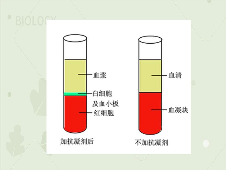 4.4.1流动的组织——血液（教学课件）-2022-2023学年初中生物人教版七年级下册08