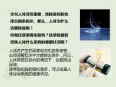 4.5人体内废物的排出（教学课件）-2022-2023学年初中生物人教版七年级下册