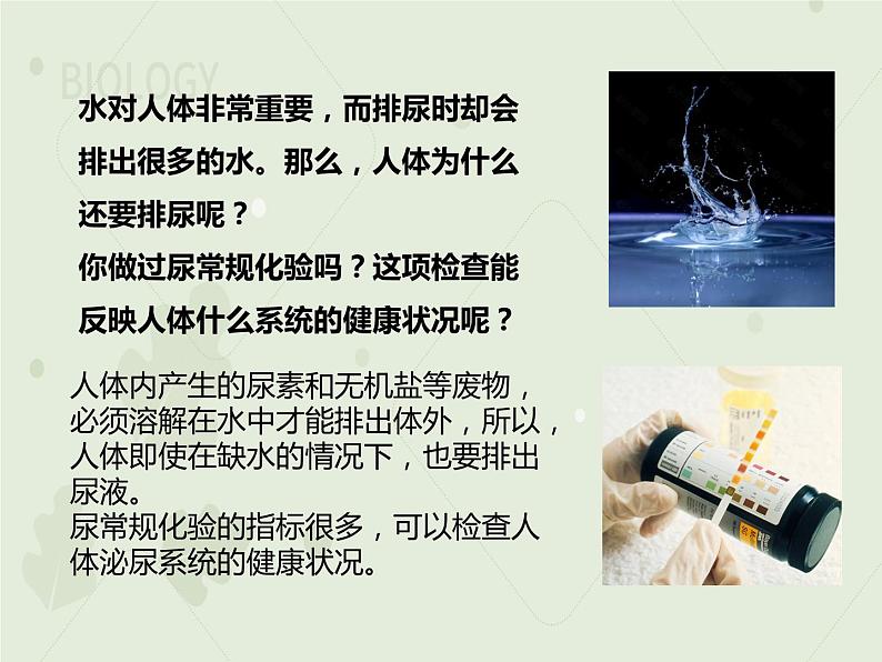 4.5人体内废物的排出（教学课件）-2022-2023学年初中生物人教版七年级下册03