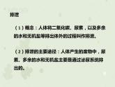 4.5人体内废物的排出（教学课件）-2022-2023学年初中生物人教版七年级下册