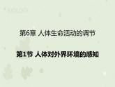 4.6.1人体对外界环境的感知（教学课件）-2022-2023学年初中生物人教版七年级下册