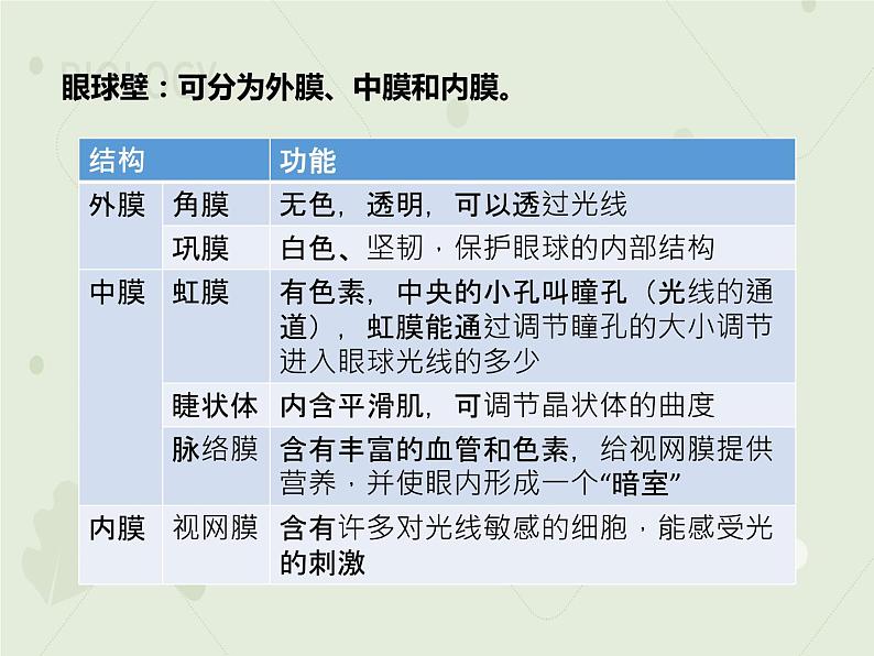 4.6.1人体对外界环境的感知（教学课件）-2022-2023学年初中生物人教版七年级下册07