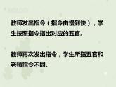 4.6.2神经系统的组成（教学课件）-2022-2023学年初中生物人教版七年级下册