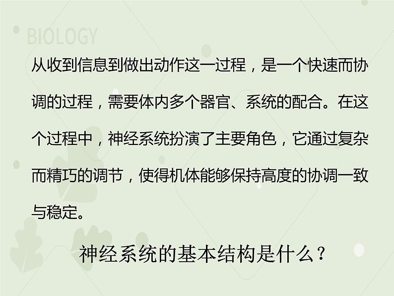 4.6.2神经系统的组成（教学课件）-2022-2023学年初中生物人教版七年级下册04