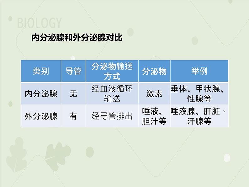 4.6.4激素调节（教学课件）-2022-2023学年初中生物人教版七年级下册07