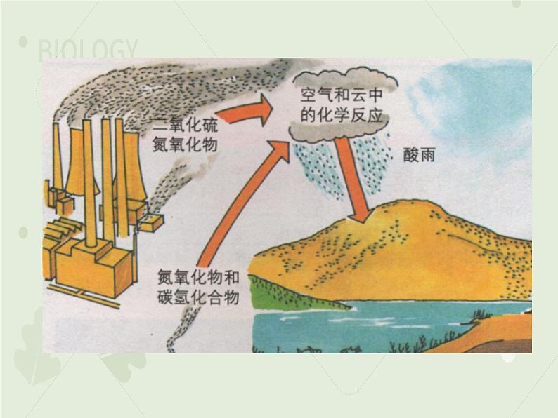 4.7.2探究环境污染对生物的影响（教学课件）-2022-2023学年初中生物人教版七年级下册第5页