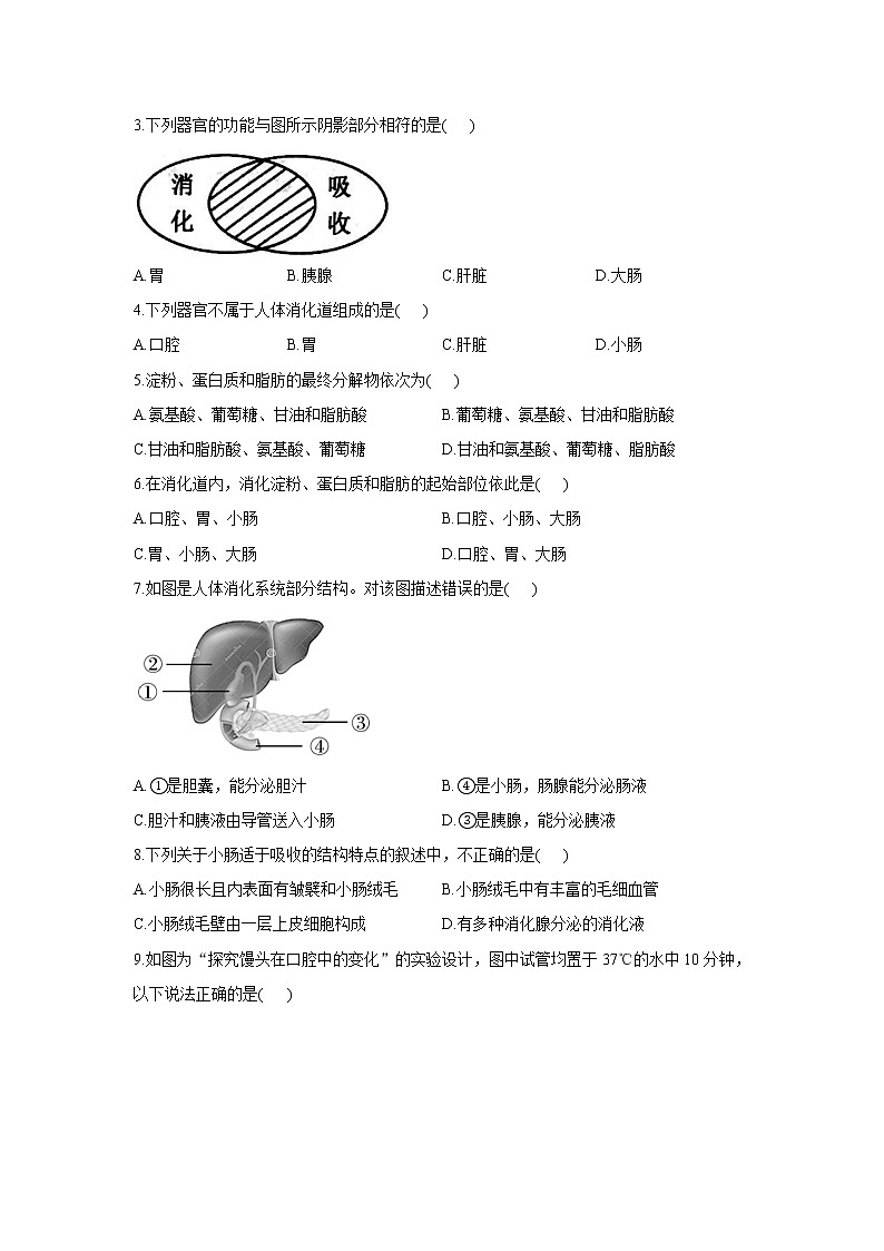 4.2.2消化和吸收（学案）2022-2023学年初中生物人教版七年级下册03
