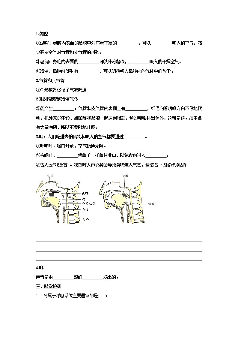4.3.1呼吸道对空气的处理（学案）-2022-2023学年初中生物人教版七年级下册第2页