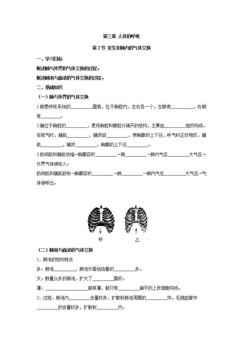 4.3.2发生在肺内的气体交换（学案）-2022-2023学年初中生物人教版七年级下册01
