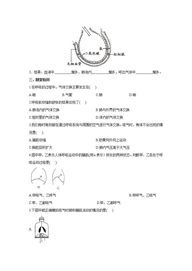 4.3.2发生在肺内的气体交换（学案）-2022-2023学年初中生物人教版七年级下册02