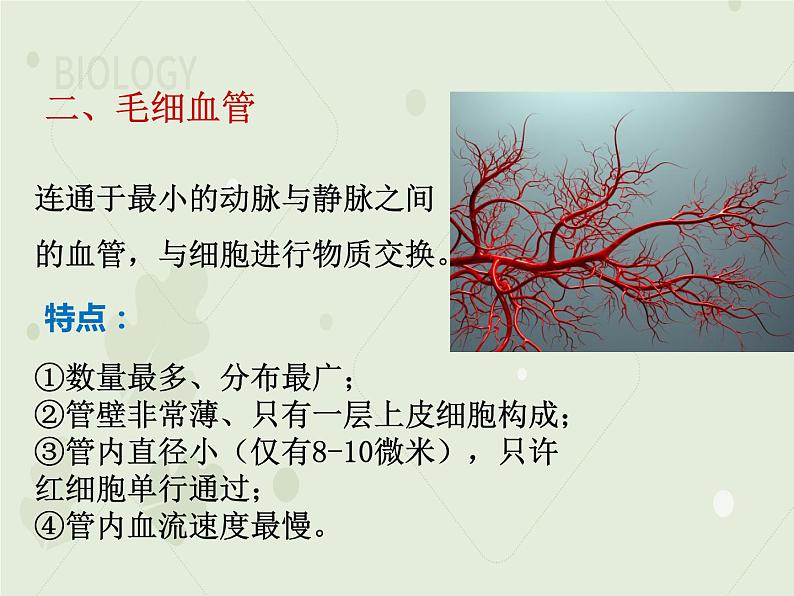 4.4.2血流的管道——血管（教学课件）-2022-2023学年初中生物人教版七年级下册08