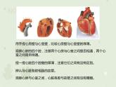4.4.3输送血液的泵——心脏（教学课件）-2022-2023学年初中生物人教版七年级下册
