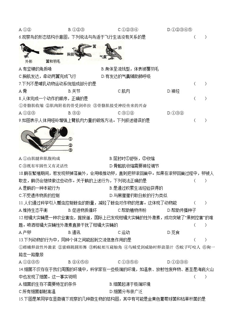 陕西省咸阳市泾阳县2022-2023学年八年级上学期期末生物试题（含答案）02