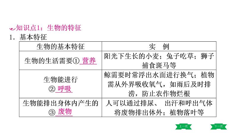 中考生物总复习课件1.第一章　认识生物03