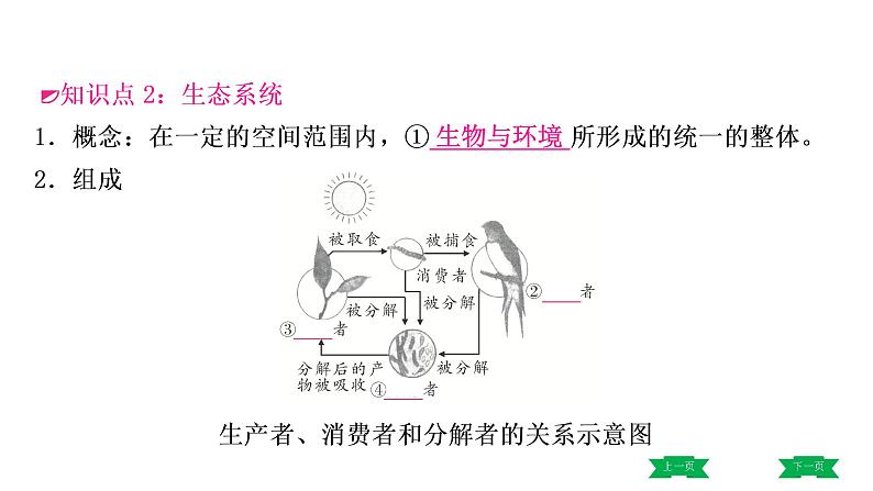 中考生物总复习课件2.第二章　了解生物圈07