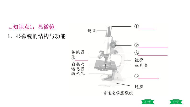 中考生物总复习课件1.第一章　细胞是生命活动的基本单位第3页