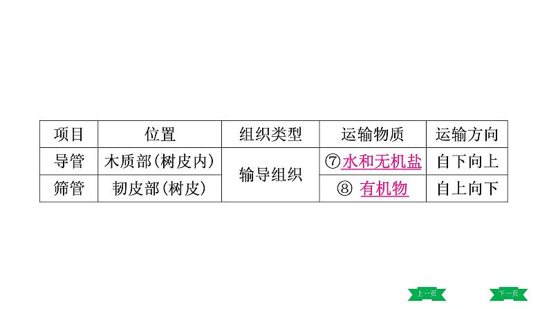 中考生物总复习课件3.第三章　绿色植物与生物圈的水循环第5页