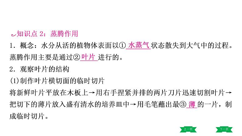 中考生物总复习课件3.第三章　绿色植物与生物圈的水循环第6页